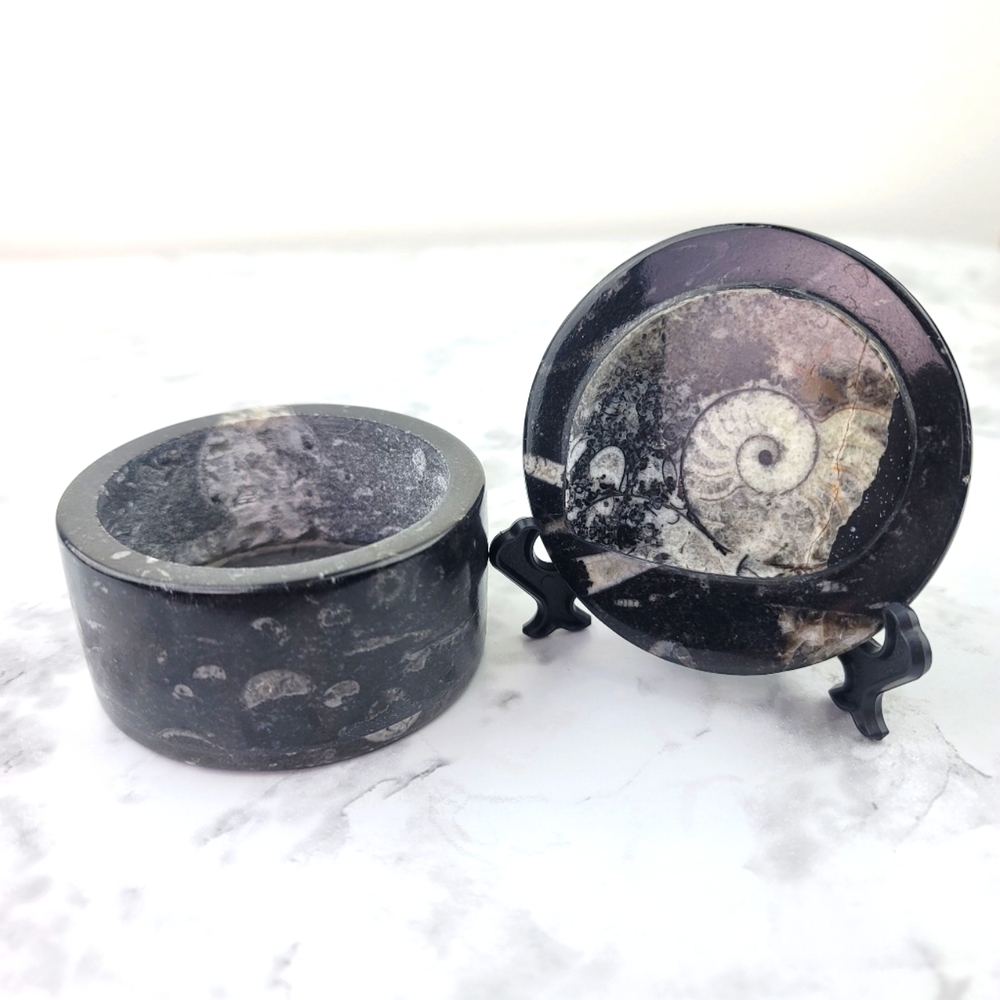 Ammonite Orthoceras Fossil Jewelry Box Trinket Vanity Women Men Gift Accessories